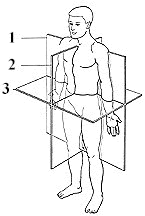 Diagram showing the virtual planes used for MRI